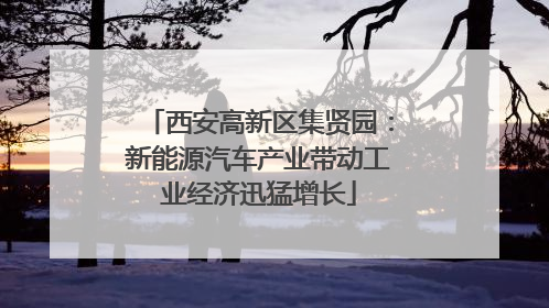 西安高新区集贤园：新能源汽车产业带动工业经济迅猛增长