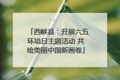 西峡县：开展六五环境日主题活动 共绘美丽中国新画卷