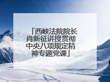 西峡法院院长肖新征讲授贯彻中央八项规定精神专题党课