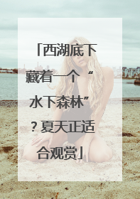 西湖底下藏着一个“水下森林”？夏天正适合观赏