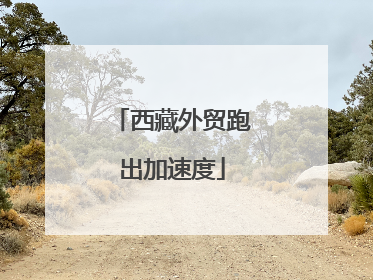 西藏外贸跑出加速度