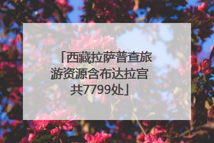 西藏拉萨普查旅游资源含布达拉宫共7799处
