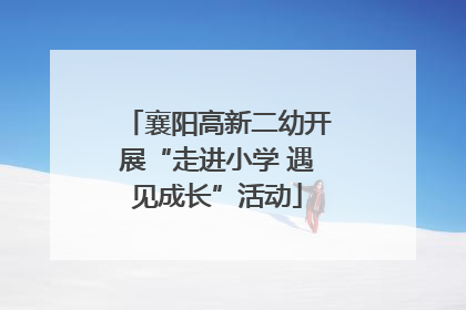 襄阳高新二幼开展“走进小学 遇见成长”活动