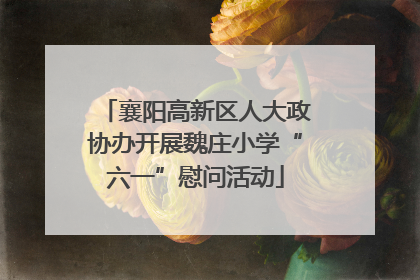 襄阳高新区人大政协办开展魏庄小学“六一”慰问活动