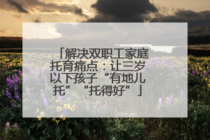 解决双职工家庭托育痛点：让三岁以下孩子“有地儿托”“托得好”