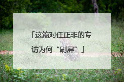 这篇对任正非的专访为何“刷屏”