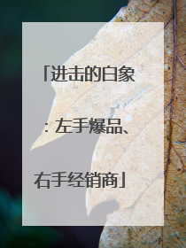 进击的白象：左手爆品、右手经销商
