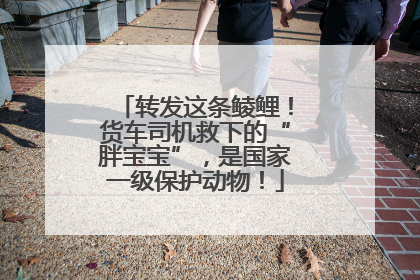 转发这条鲮鲤！货车司机救下的“胖宝宝”，是国家一级保护动物！