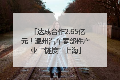 达成合作2.65亿元！温州汽车零部件产业“链接”上海