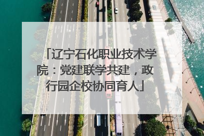 辽宁石化职业技术学院：党建联学共建，政行园企校协同育人