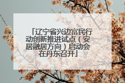 辽宁省兴边富民行动创新推进试点（安居融居方向）启动会在丹东召开