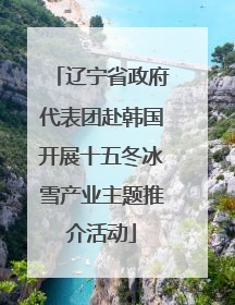 辽宁省政府代表团赴韩国开展十五冬冰雪产业主题推介活动