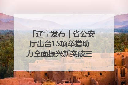 辽宁发布｜省公安厅出台15项举措助力全面振兴新突破三年行动决胜之战