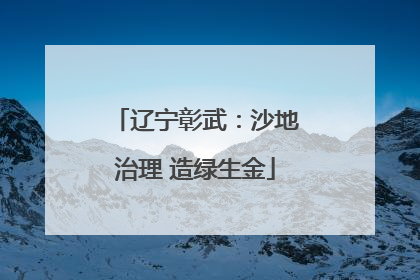 辽宁彰武：沙地治理 造绿生金