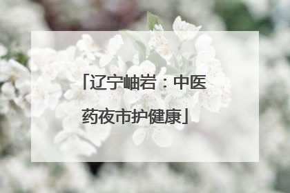 辽宁岫岩：中医药夜市护健康