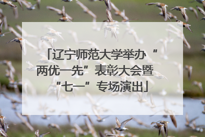 辽宁师范大学举办“两优一先”表彰大会暨“七一”专场演出