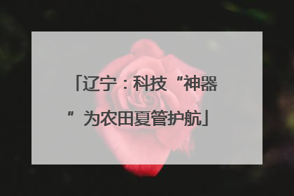 辽宁：科技“神器”为农田夏管护航