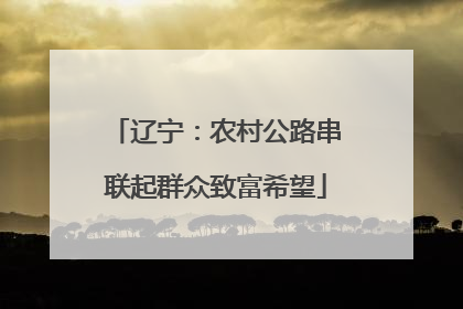 辽宁：农村公路串联起群众致富希望