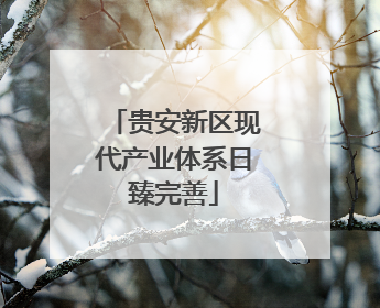 贵安新区现代产业体系日臻完善