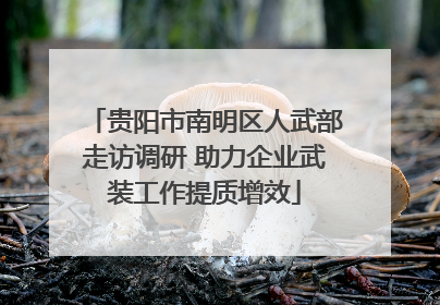 贵阳市南明区人武部走访调研 助力企业武装工作提质增效