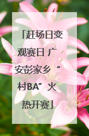 赶场日变观赛日 广安彭家乡“村BA”火热开赛