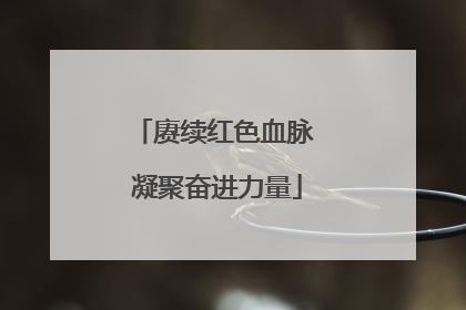 赓续红色血脉 凝聚奋进力量