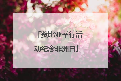 赞比亚举行活动纪念非洲日