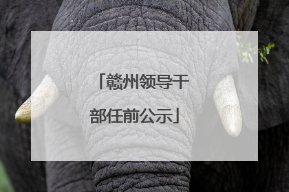 赣州领导干部任前公示