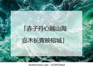 赤子丹心越山海 嘉木长青映榕城