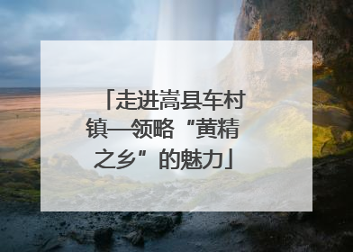 走进嵩县车村镇—领略“黄精之乡”的魅力