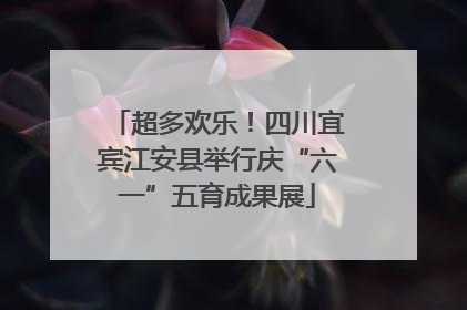 超多欢乐！四川宜宾江安县举行庆“六一”五育成果展
