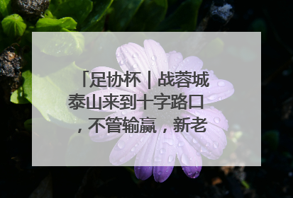足协杯｜战蓉城泰山来到十字路口，不管输赢，新老交替势在必行