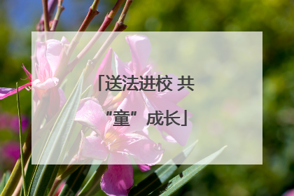 送法进校 共“童”成长