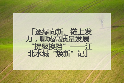 逐绿向新、链上发力，聊城高质量发展“提级换挡”——江北水城“焕新”记