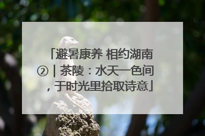 避暑康养 相约湖南②｜茶陵：水天一色间，于时光里拾取诗意
