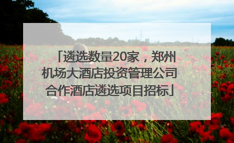 遴选数量20家，郑州机场大酒店投资管理公司合作酒店遴选项目招标