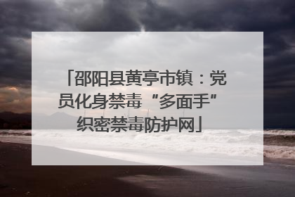 邵阳县黄亭市镇：党员化身禁毒“多面手” 织密禁毒防护网