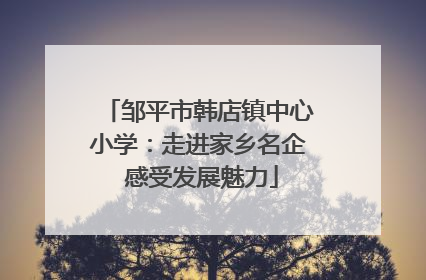 邹平市韩店镇中心小学：走进家乡名企 感受发展魅力
