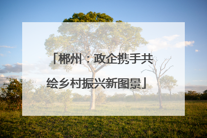 郴州：政企携手共绘乡村振兴新图景