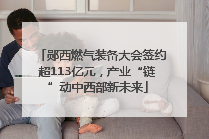 郧西燃气装备大会签约超113亿元，产业“链”动中西部新未来