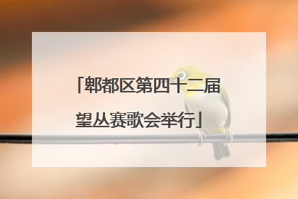 郫都区第四十二届望丛赛歌会举行