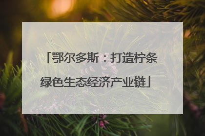 鄂尔多斯：打造柠条绿色生态经济产业链