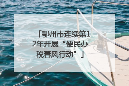 鄂州市连续第12年开展“便民办税春风行动”