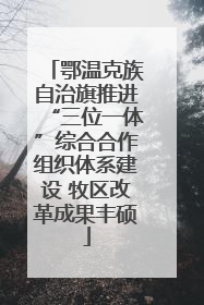 鄂温克族自治旗推进“三位一体”综合合作组织体系建设 牧区改革成果丰硕