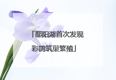 鄱阳湖首次发现彩鹮筑巢繁殖