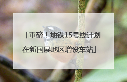 重磅！地铁15号线计划在新国展地区增设车站