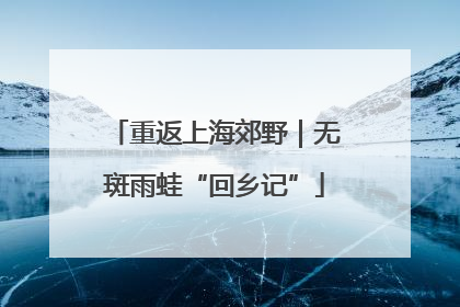 重返上海郊野｜无斑雨蛙“回乡记”