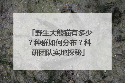 野生大熊猫有多少？种群如何分布？科研团队实地探秘