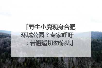 野生小麂现身合肥环城公园？专家呼吁：若邂逅切勿惊扰