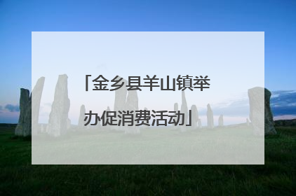金乡县羊山镇举办促消费活动